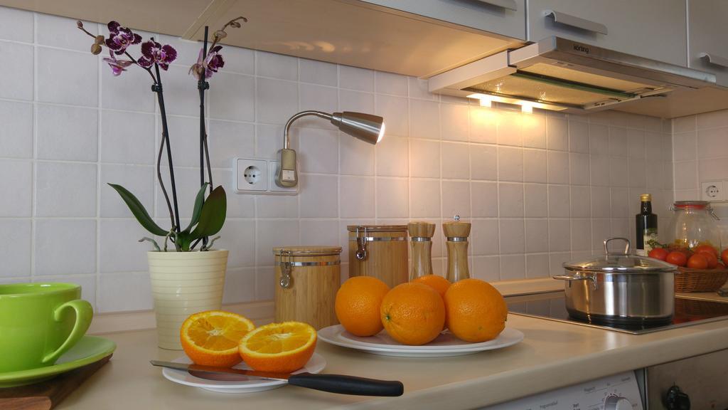 Apartmenthaus Elster Lofts Leipzig Rom bilde